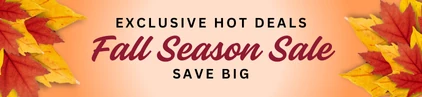 Summer sale